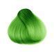 Временная краска-спрей для волоc зелёная Green Verde 2858249259 фото 5