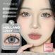 Лінзи кольорові сірі Holland Gray + контейнер для зберігання в подарунок 08693HO фото 4