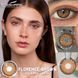 Цветные линзы коричневые Florence brown + контейнер для хранения в подарок 2879351114 фото 1