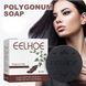 Чёрное мыло-шампунь Polygonum Soap для затемнения седых волос и ухода 05348 фото 1