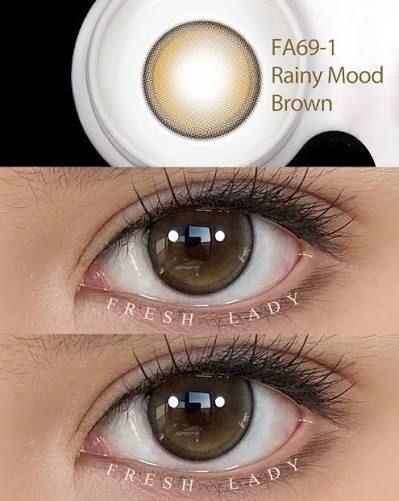 Кольорові лінзи коричневі Rainy Mood Brown + контейнер для зберігання в подарунок BC112-1 фото