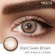 Кольорові лінзи коричневі Black Swan Brown + контейнер для зберігання в подарунок BC598-1 фото 7