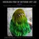Термохромна сучасна фарба для волосся Eelchoe жовто-зелена Chameleon Green Yellow Фарба змінює колір 56750 фото 9