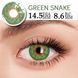 Цветные линзы для глаз зелёные Green snake + контейнер для хранения в подарок 268 фото 6