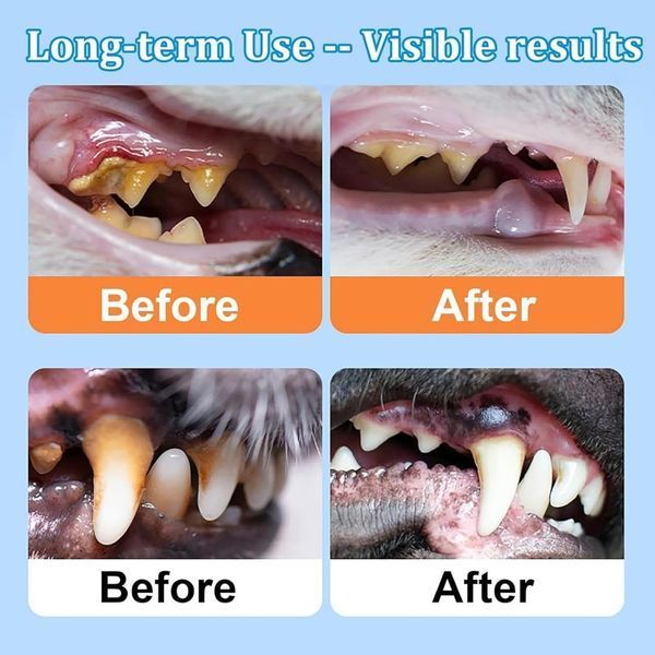 Средство для чистки зубов собак MELAO Dental Care 120 мл 2974797869 фото