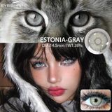 Кольорові лінзи сірі Estonia Gray + контейнер для зберігання в подарунок 0654EST фото