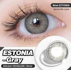 Цветные линзы серые Estonia Gray + контейнер для хранения в подарок 0654EST фото