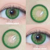 Цветные линзы для глаз зелёные Vanessa Green + контейнер для хранения в подарок 6398 фото
