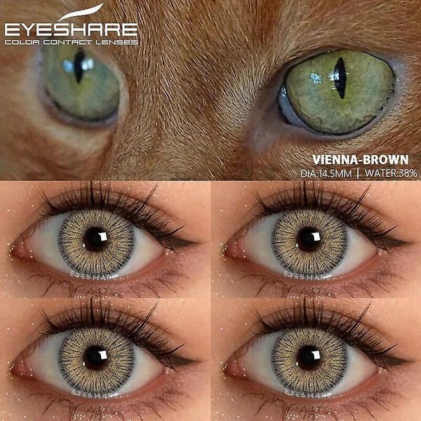 Цветные линзы для глаз Vienna Brown коричневые + контейнер для хранения в подарок 00199VI фото